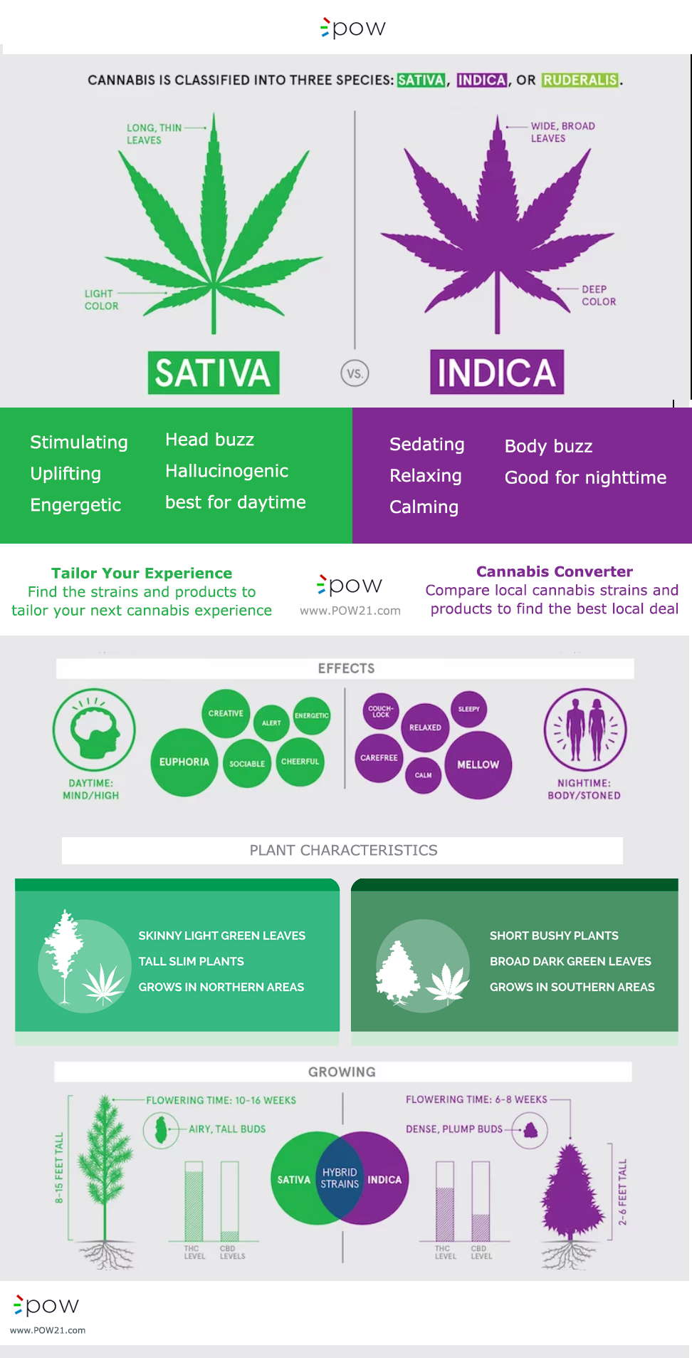 Part 2: Which has more THC & CBD, sativa or indica cannabis strains? - POW